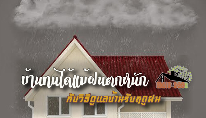 บ้านทนได้แม้ฝนตกหนัก กับวิธีดูแลบ้านรับฤดูฝน